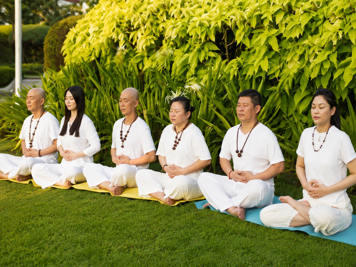 Bodh Meditation in the Garden